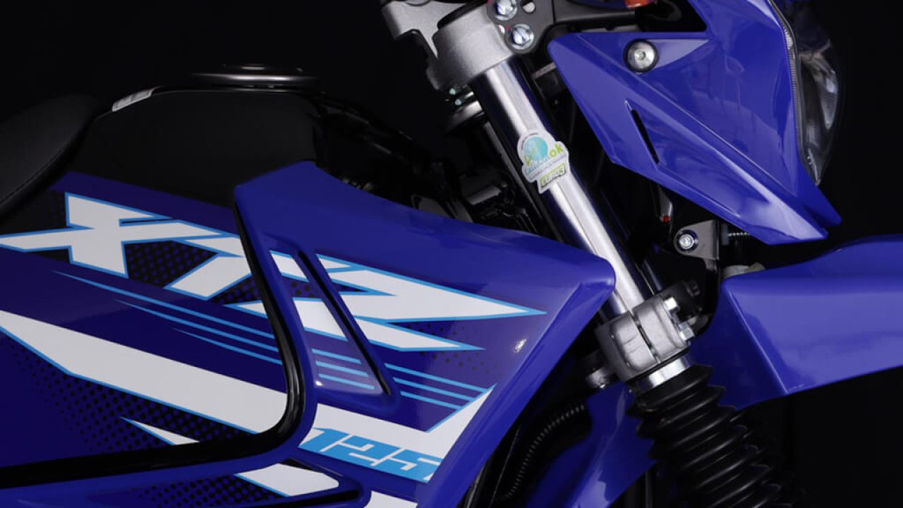 YAMAHA-XTZ-BLUE-DETAIL8099