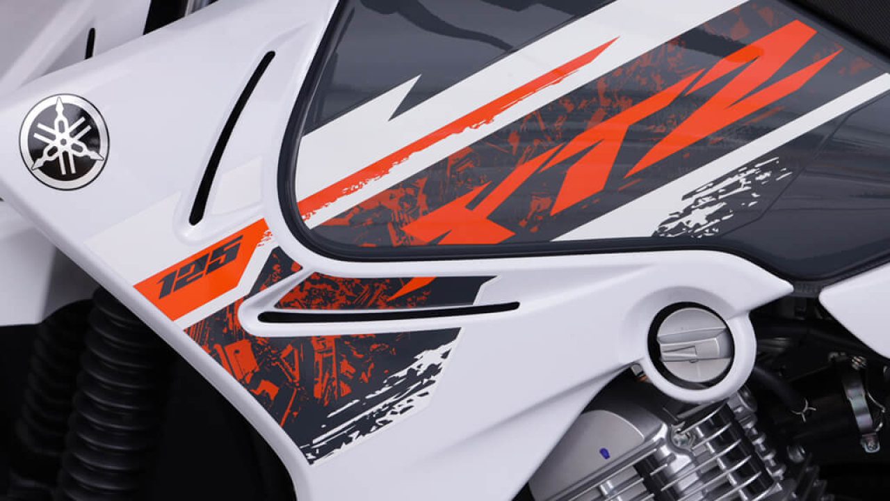 YAMAHA-YAMAHA-XTZ-WHITE-DETAIL8045 (1)